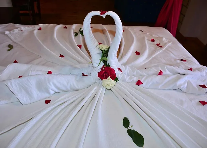 Aquarius Hotel apartamentowy